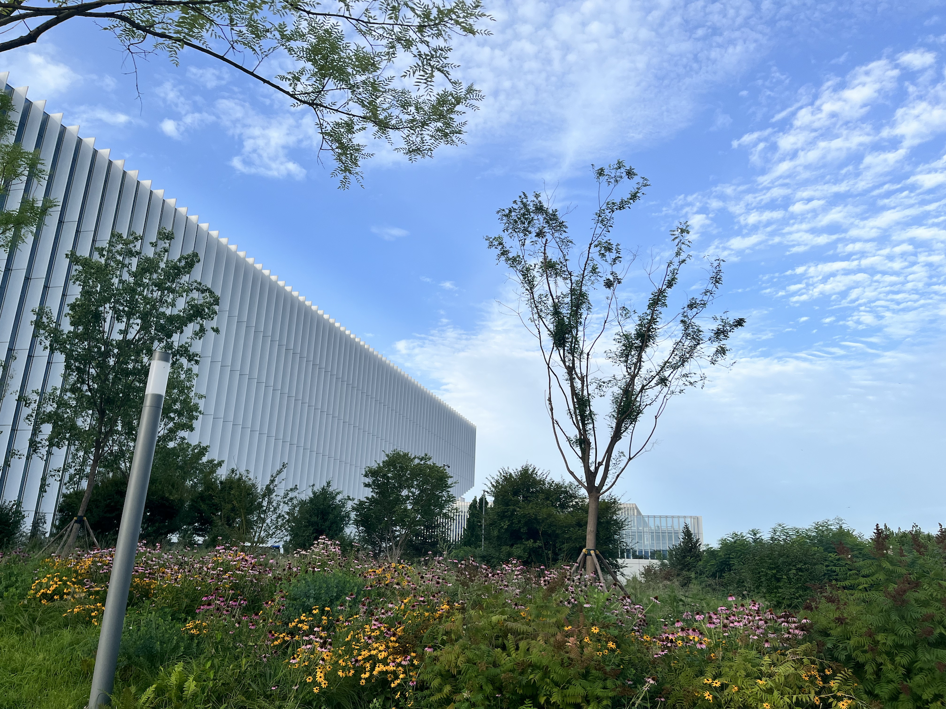 蓝天下的白色建筑和花园 - 腾讯总部大楼